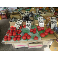 トマト生産農家と品種の関係閲覧システム